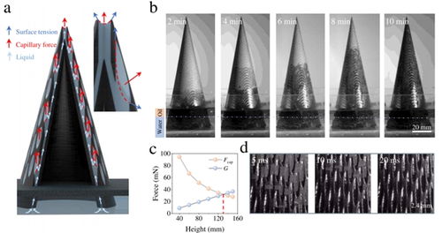 微納3D打印驅動新能源發展 從基礎微結構到應用體系的跨越