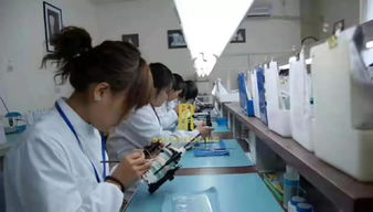 鉑爾汀 走進源頭 鉑爾汀牙齒貼面工廠,見證美的誕生