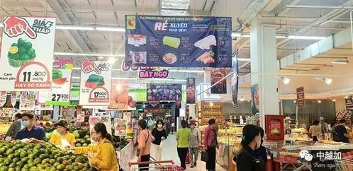 2020年越南商品零售和服務(wù)業(yè)收入約達(dá)5000萬億盾