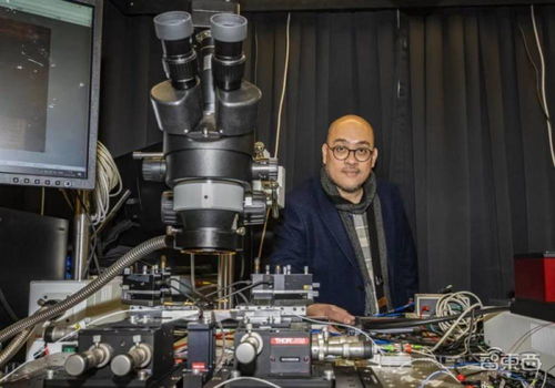 科學家研發(fā)新型光子芯片 用聲波有效抗噪,突破數(shù)據(jù)傳輸瓶頸