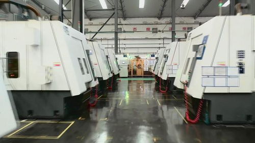 視頻丨乳山 一攬子政策提振企業(yè)信心 助推經(jīng)濟高質(zhì)量發(fā)展