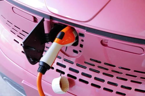 太美了 美女與e100邂逅鹿寨 中渡最美賽道